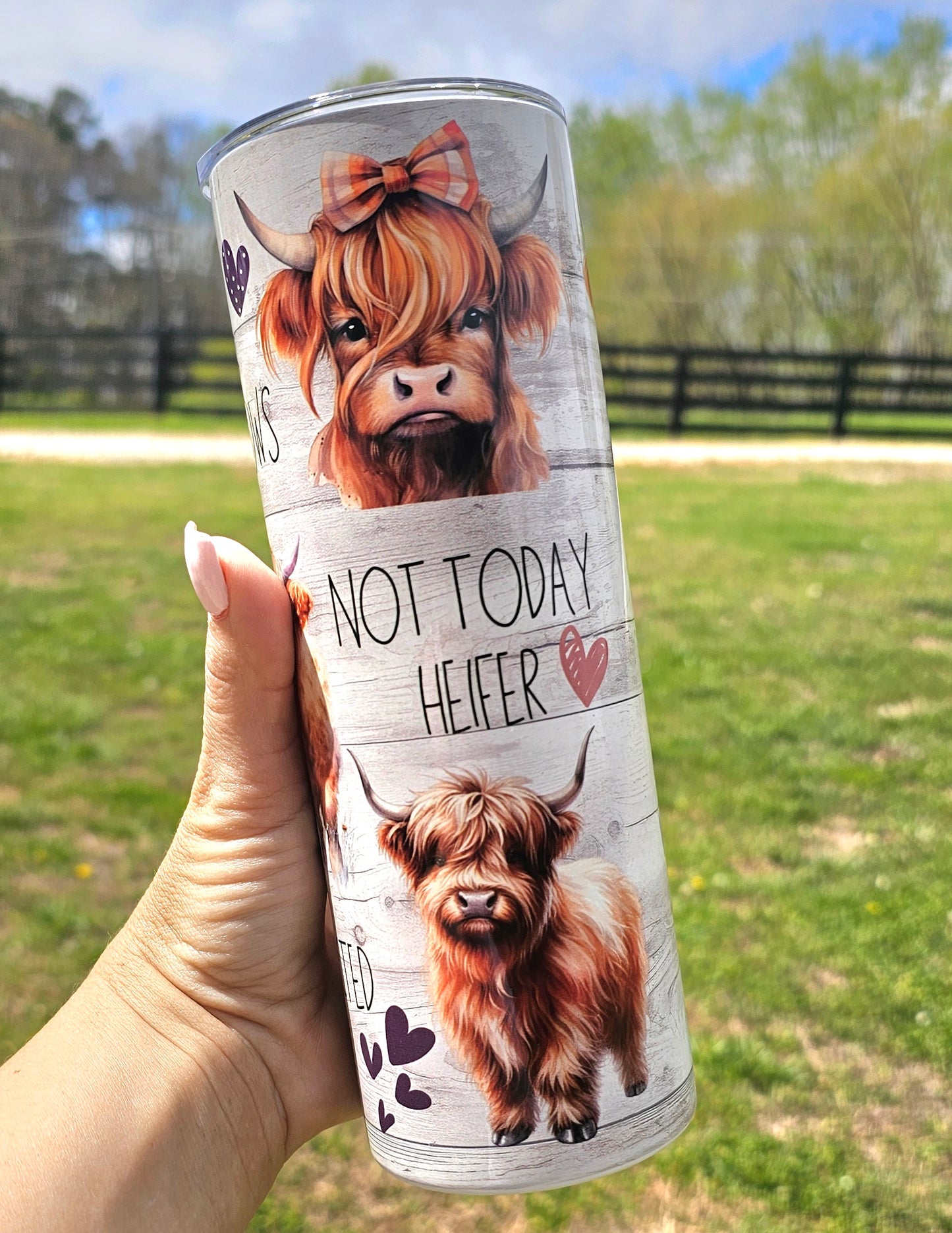 Highland Cow 20oz Stainless Steel Tumbler – “Not Today Heifer”