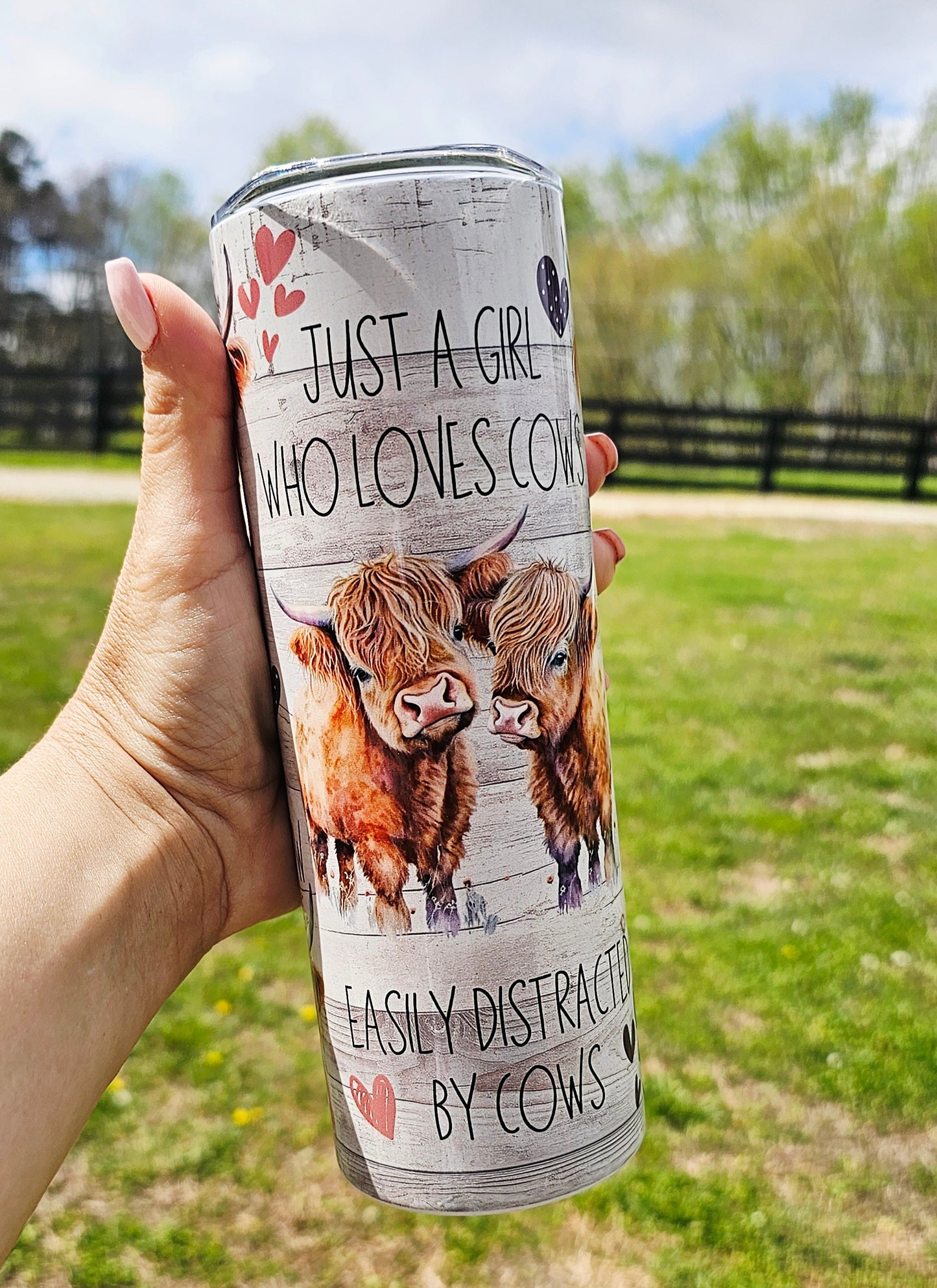 Highland Cow 20oz Stainless Steel Tumbler – “Not Today Heifer”