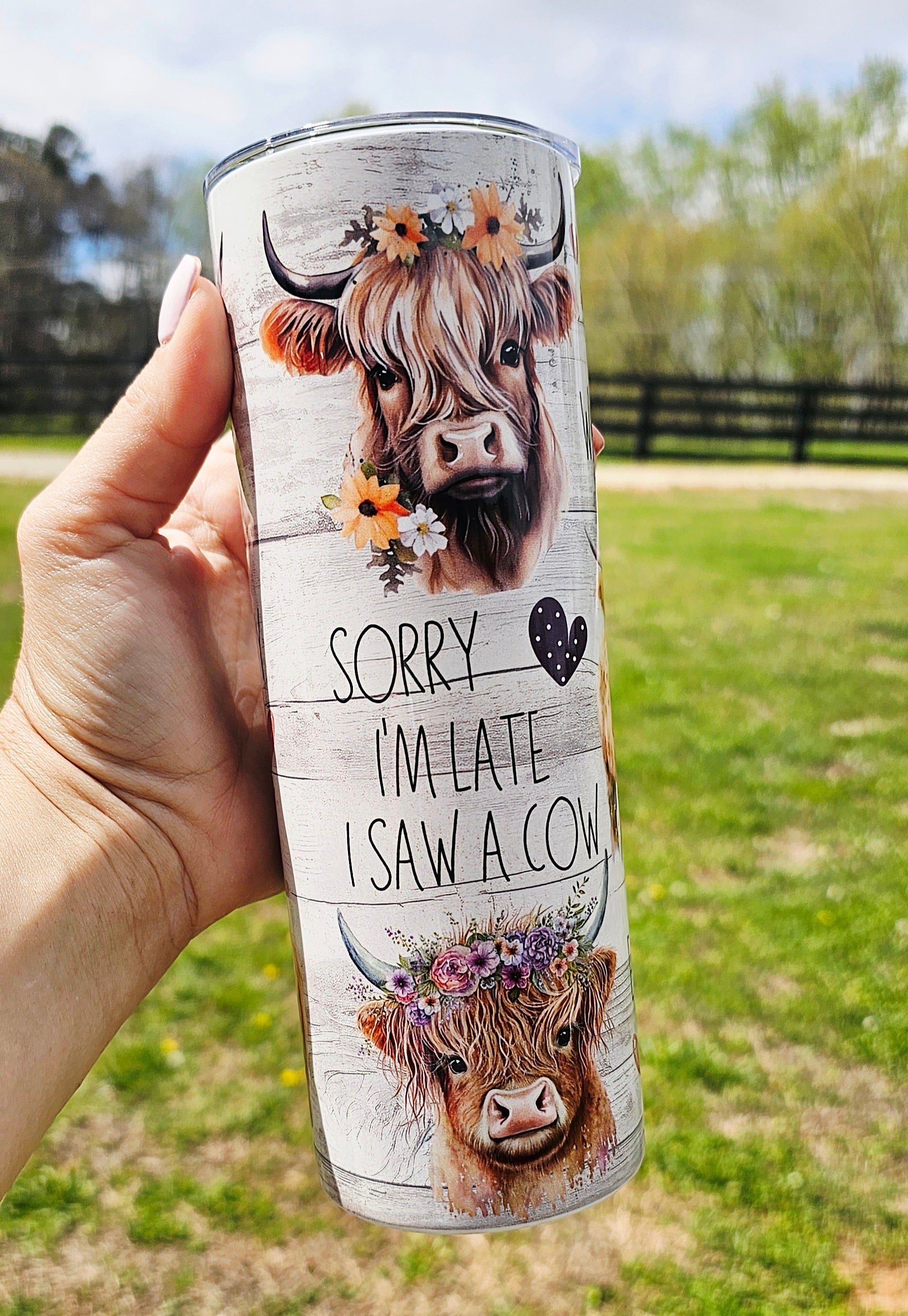 Highland Cow 20oz Stainless Steel Tumbler – “Not Today Heifer