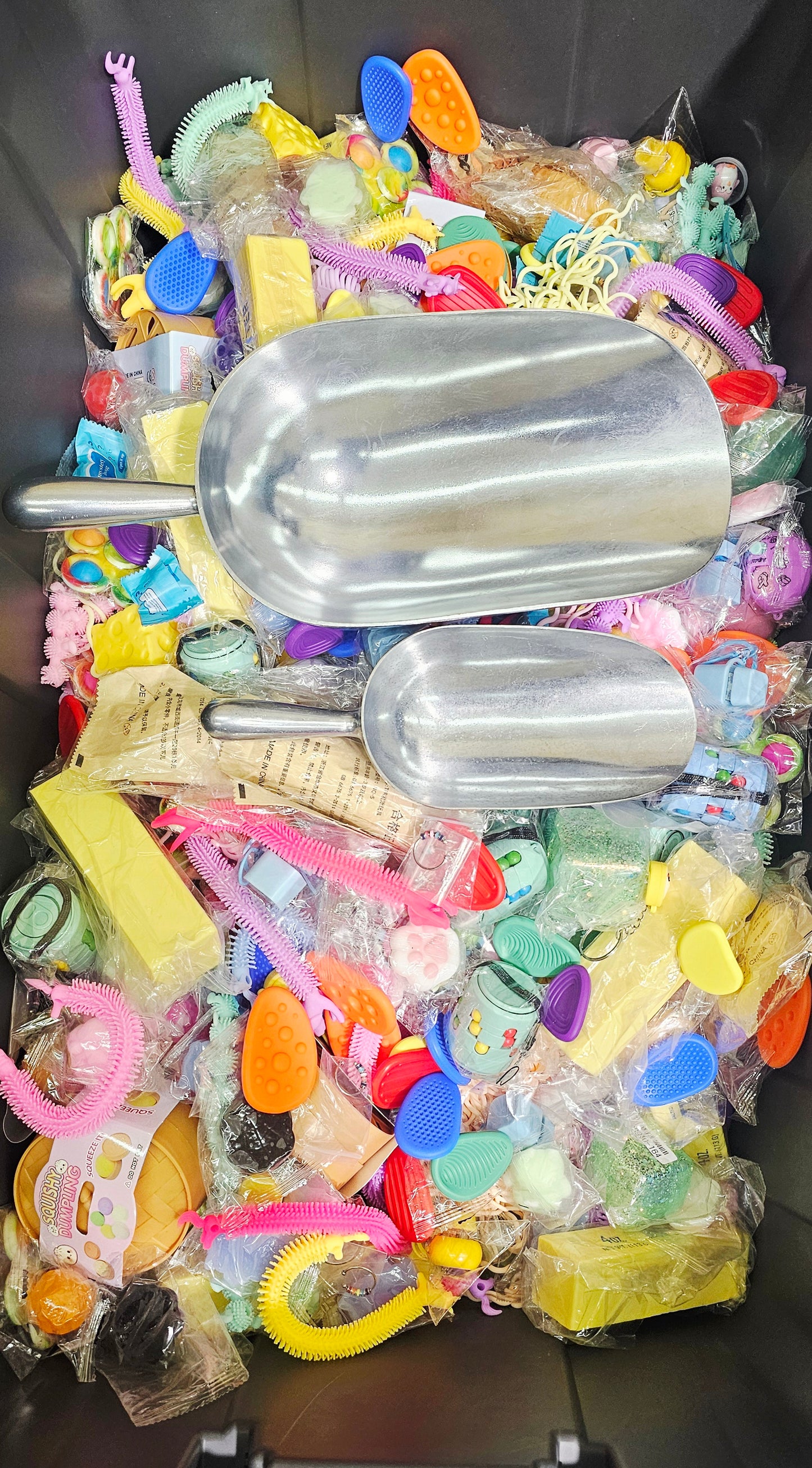 FIDGET & SENSORY SCOOP
